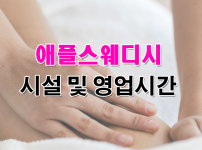애플스웨디시 업체소개